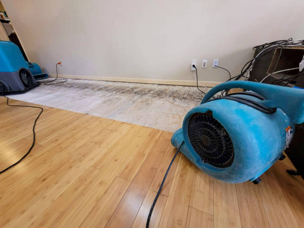 Professional Structural Drying technician working in Gowen, MI